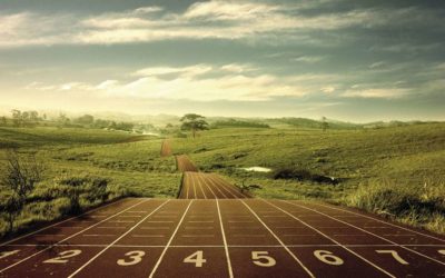 Programmes de musculation pour débutant