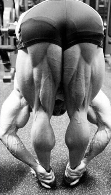 Les ischio-jambiers de Tom Platz de dos