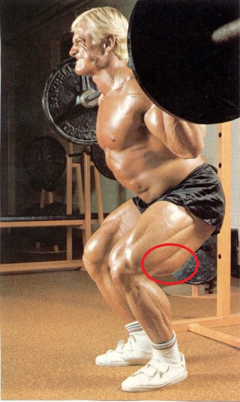Les ischio-jambiers de Tom Platz de profil avec vue sur le biceps fémoral