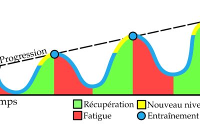 La planification de l&rsquo;entraînement