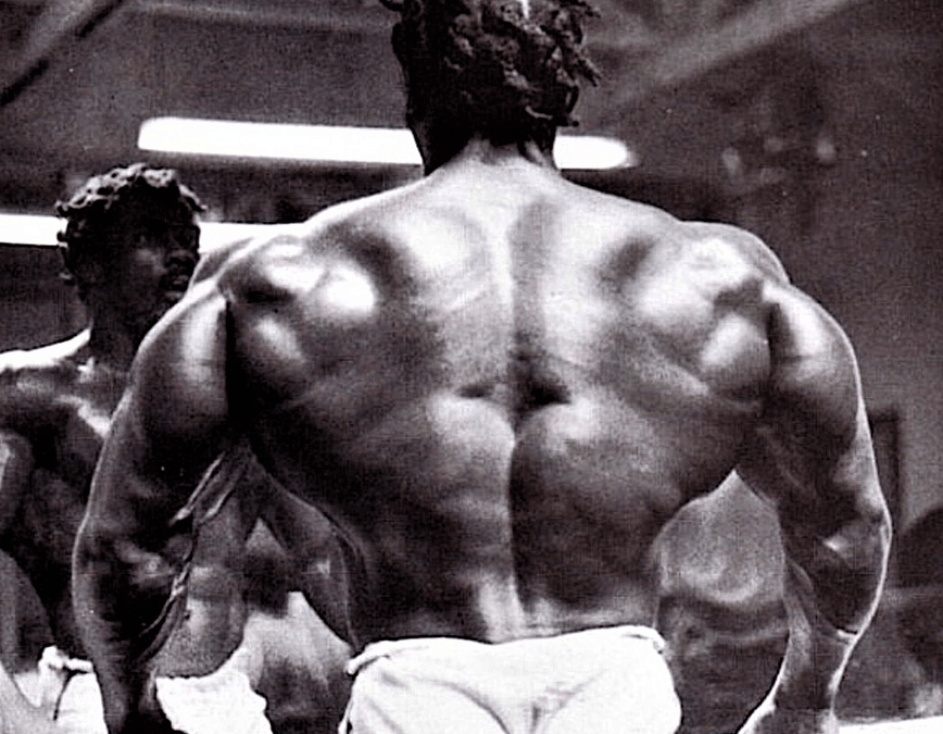 Musculation du dos. Largeur du dos.