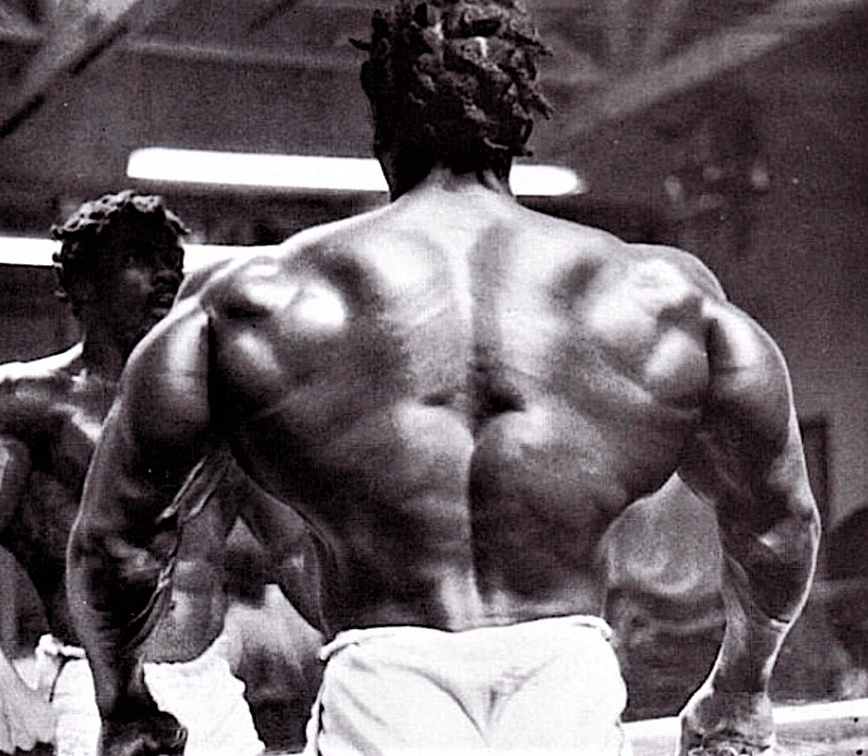 Musculation du dos. Largeur du dos.